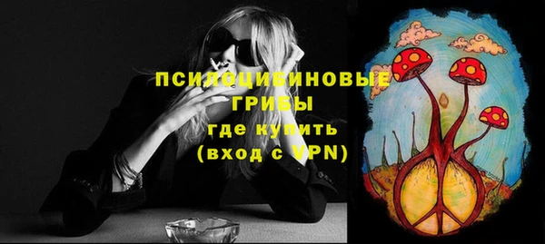 прущие грибы Козельск