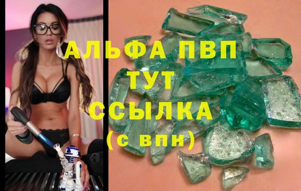 прущие грибы Козельск