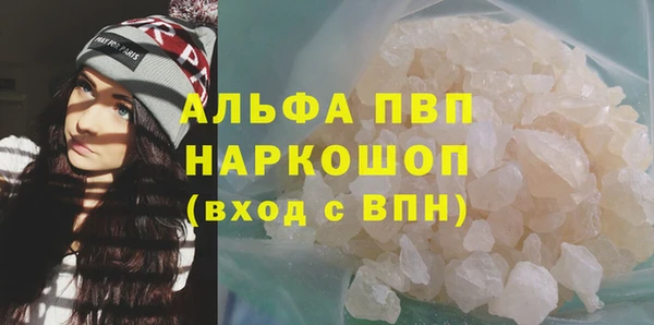 прущие грибы Козельск