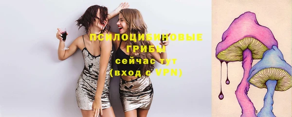скорость mdpv Козловка