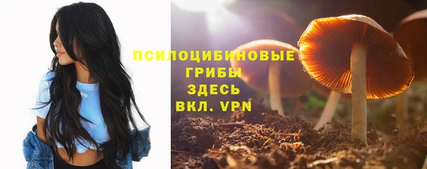 jwh Кодинск