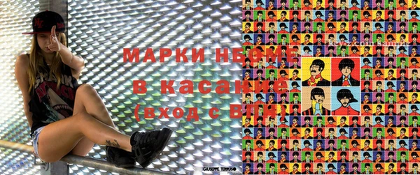 прущие грибы Козельск