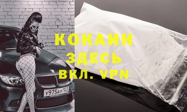прущие грибы Козельск
