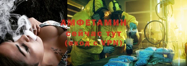 прущие грибы Козельск