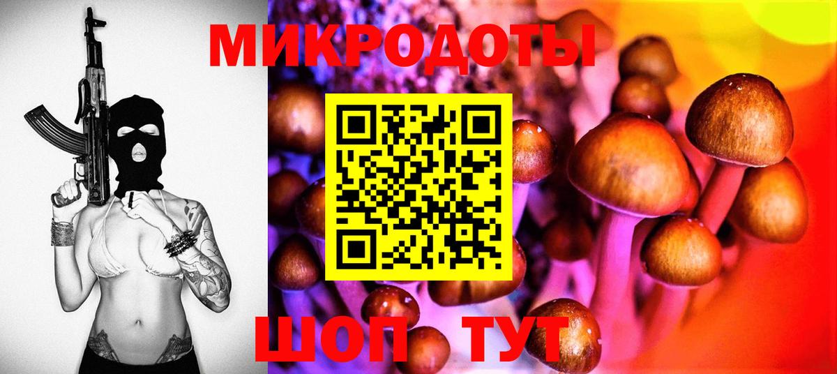 Серов  где найти   Вход с VPN  Псилоцибиновые грибы прущие грибы  Псилоцибиновые грибы мухоморы 