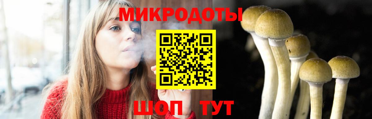 Галлюциногенные грибы Magic Shrooms Серов